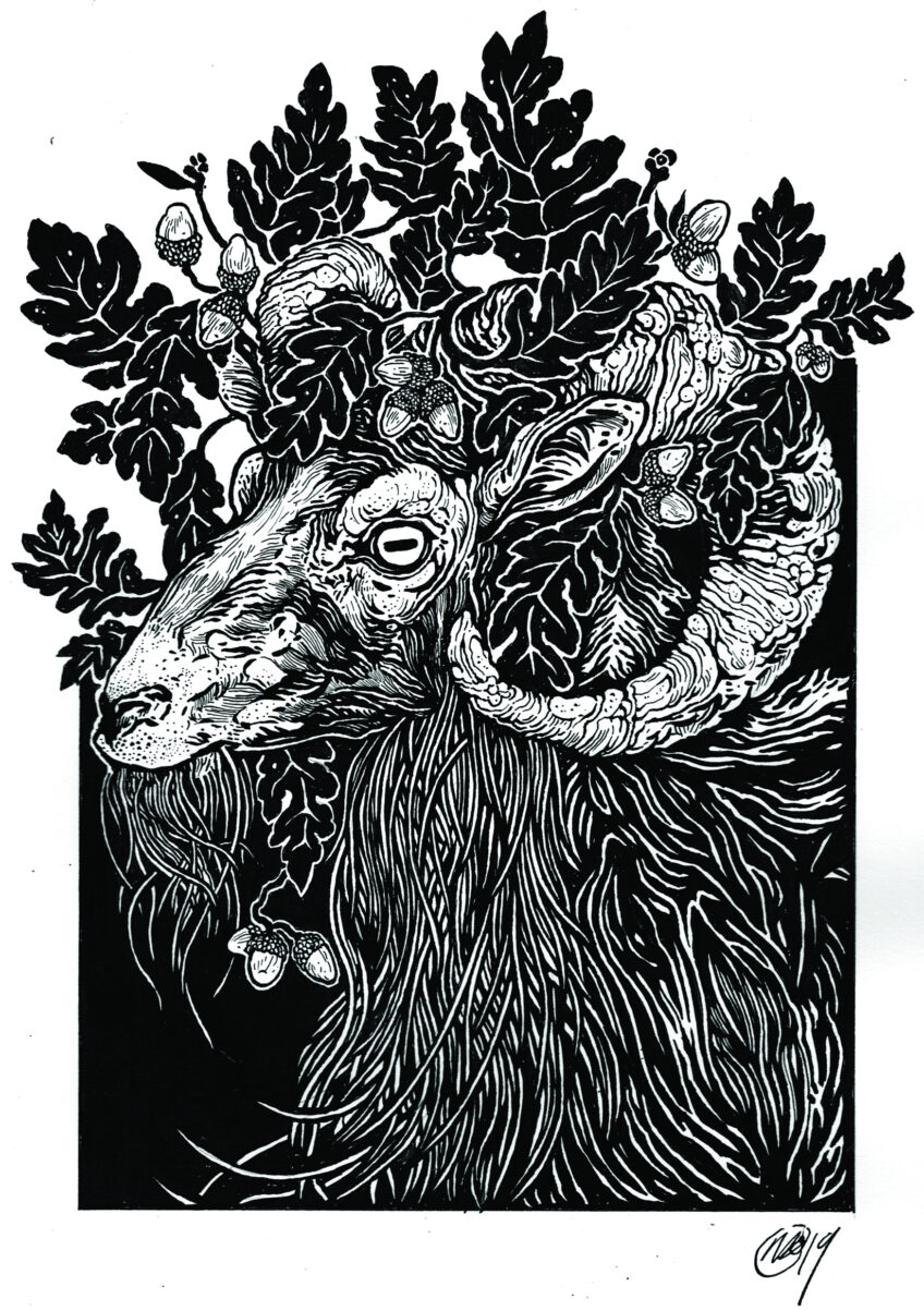 Centre.Press – Matthew Frame